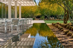 A view toward the Sunnylands Cafe patio with the low-evaporative water fountain in the foreground and blooming Palo Brea trees on the right.