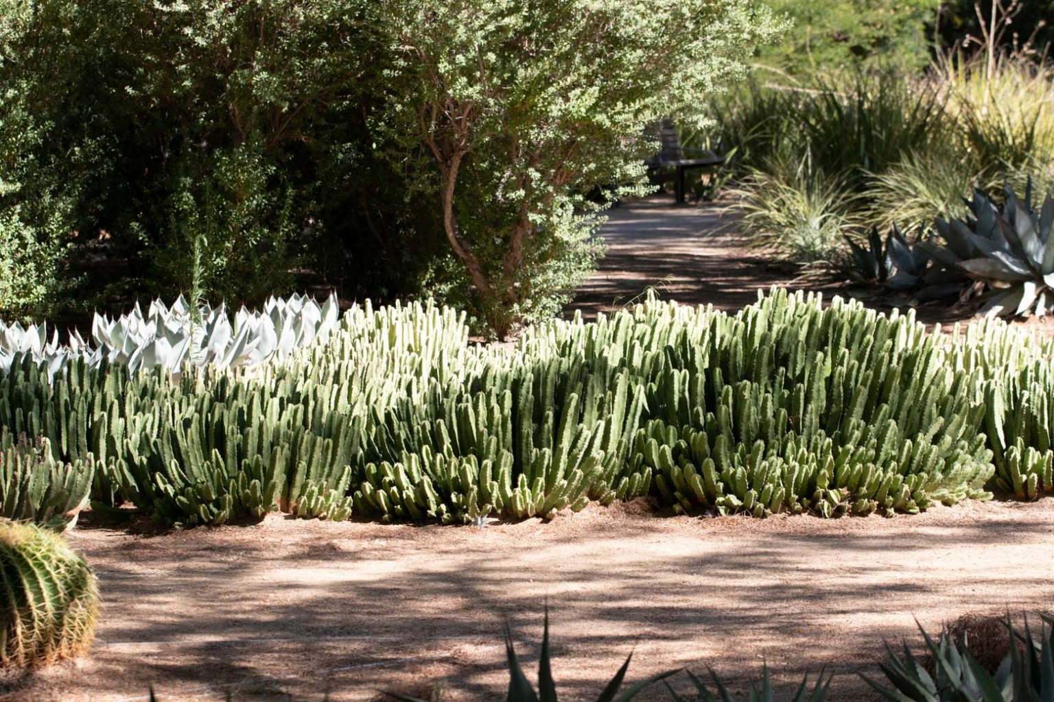 Moroccan Mound - Sunnylands Art Garden